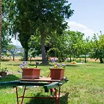 Passalacqua Ground Floor Between Culture And The Sea